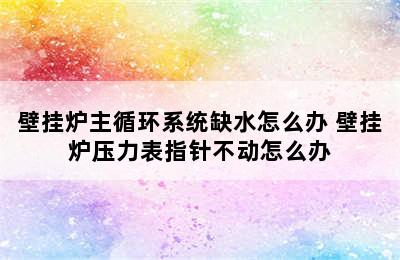 壁挂炉主循环系统缺水怎么办 壁挂炉压力表指针不动怎么办